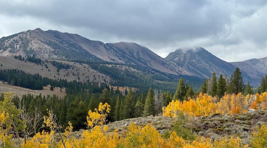 9.28.26 Virginia Lakes - Amanda Carlson, Mono County Tourism
