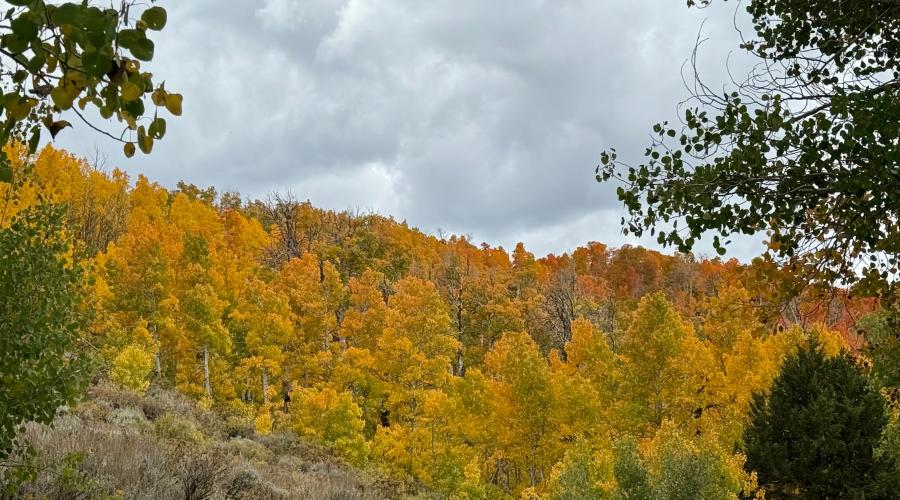 9.29.25 Lobdell - Amanda Carlson, Mono County Tourism
