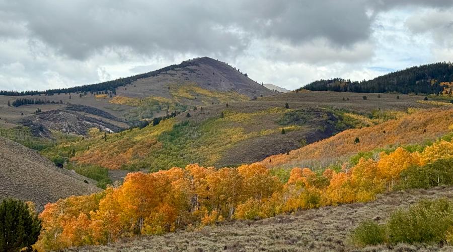 9.29.25 Lobdell - Amanda Carlson, Mono County Tourism