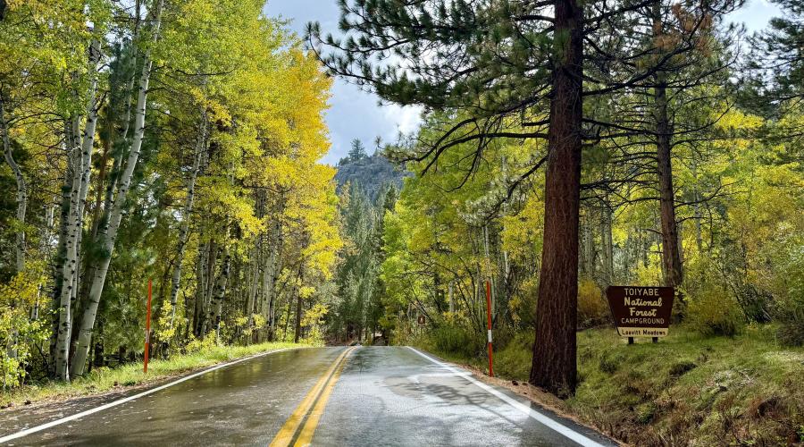 9.29.25 Sonora Pass - Amanda Carlson, Mono County Tourism