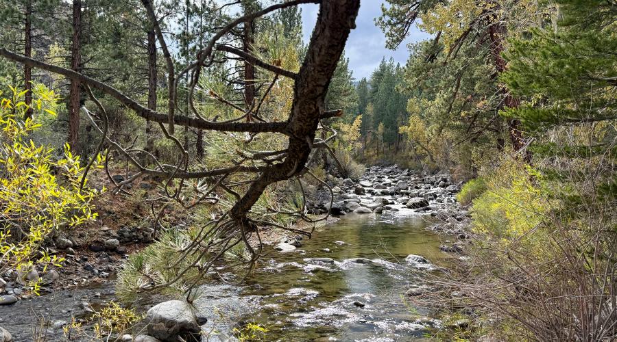 9.29.25 Sonora Pass - Amanda Carlson, Mono County Tourism