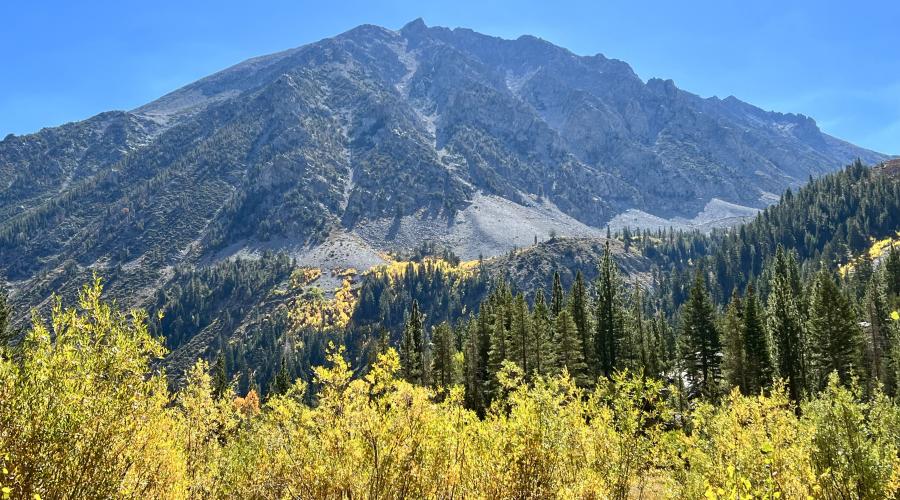 9.30.24 Lundy Canyon by Amanda Carlson with Mono County Tourism