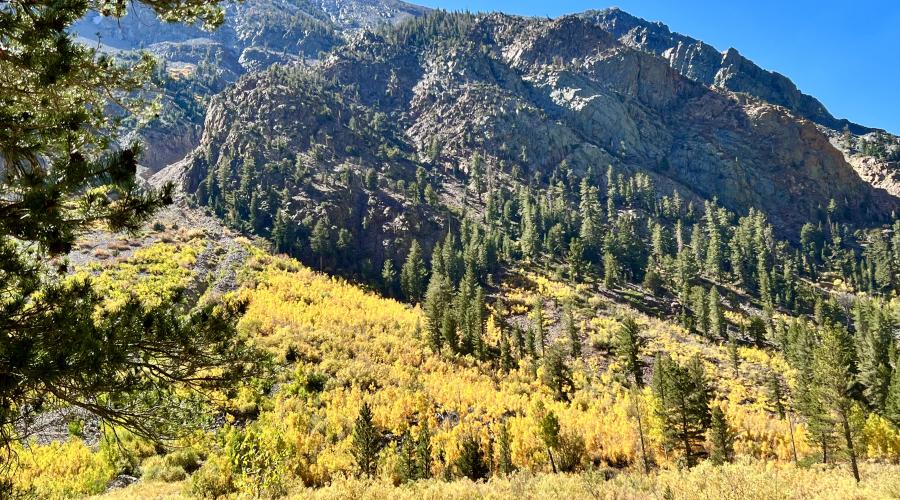 9.30.24 Lundy Canyon by Amanda Carlson with Mono County Tourism