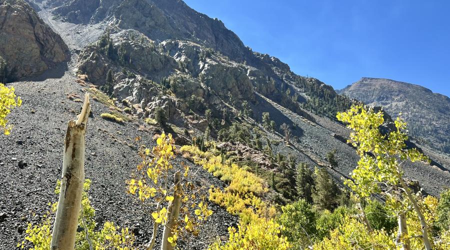 9.30.24 Lundy Canyon by Amanda Carlson with Mono County Tourism