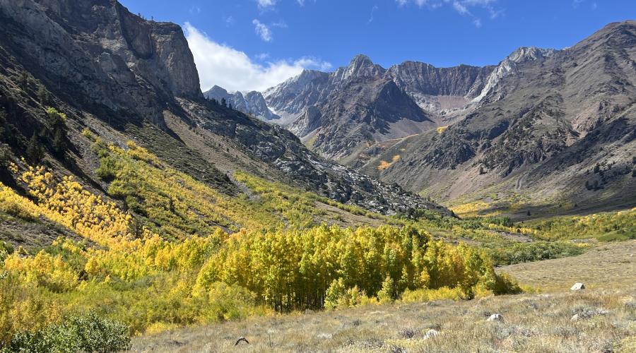 9.30.25 McGee Creek - Emily Bryant, Mono County Tourism