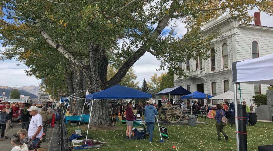 Bridgeport Autumn Festival