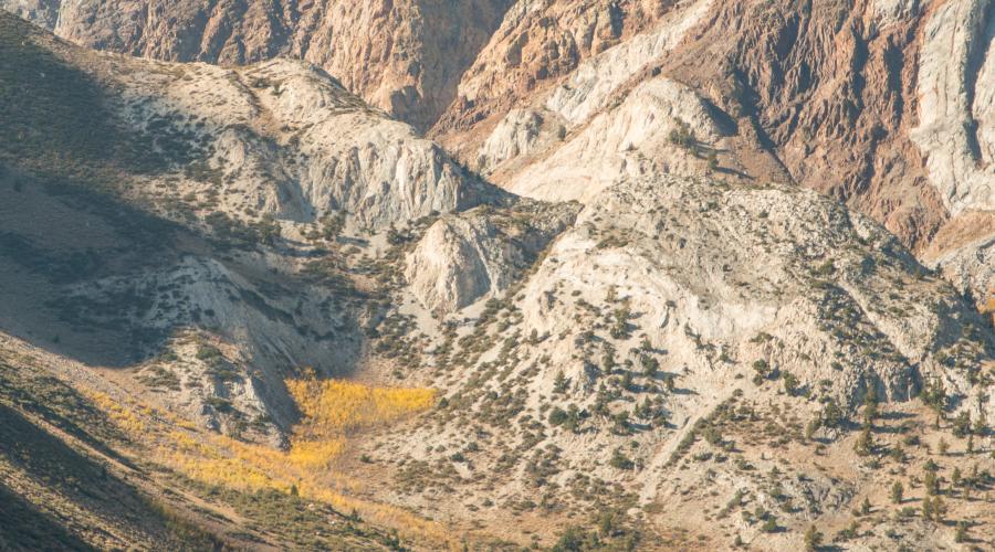 Convict Lake Fall Color Fishing