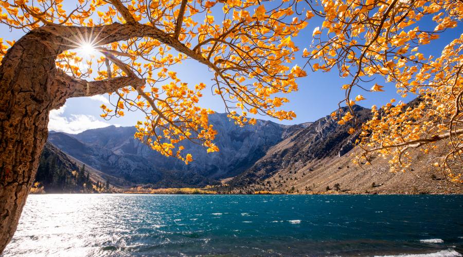 10.28.24 Convict Lake by Samantha Lindberg with Mammoth Lakes Tourism