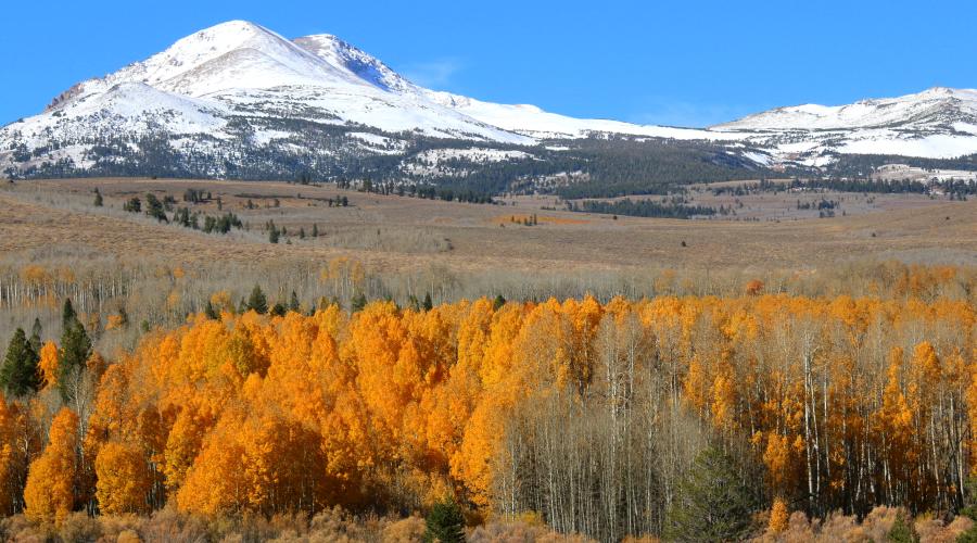 Conway Summit snow and Fall Colors