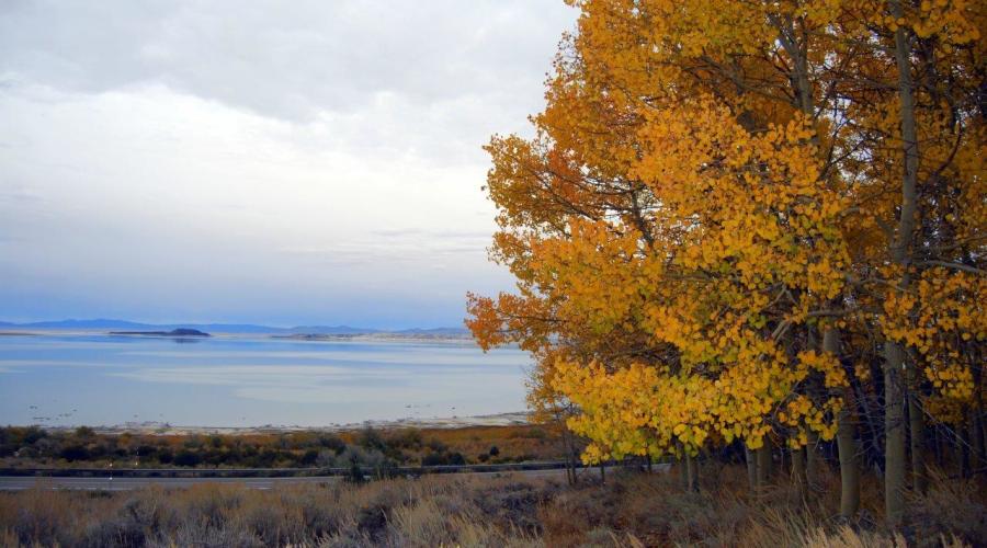 Fall on the Lake