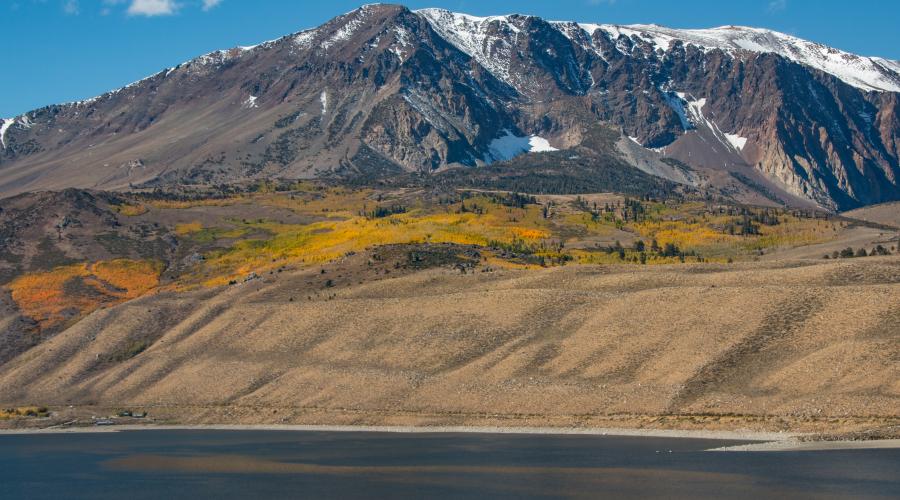 Grant Lake Fall Colors