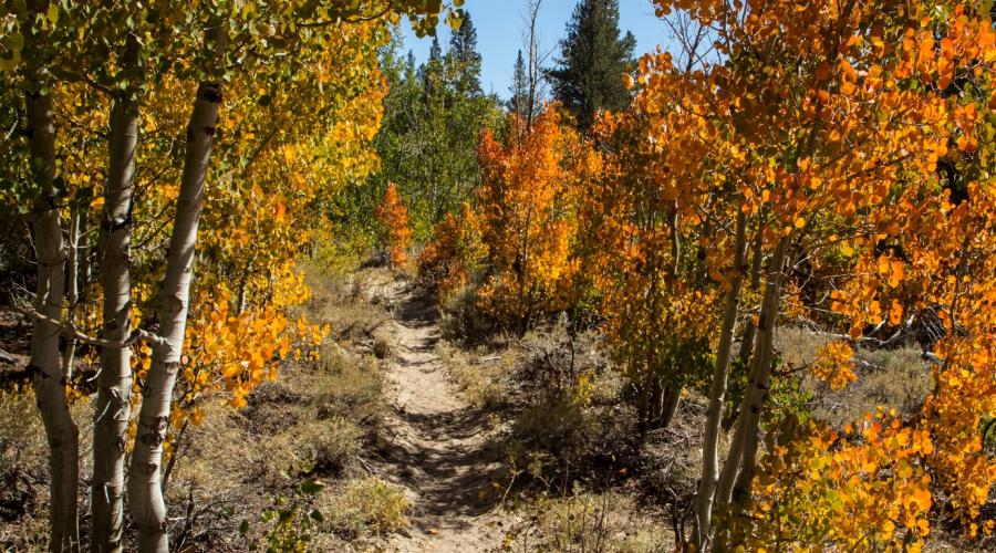 Hilton Creek Trail September 2016