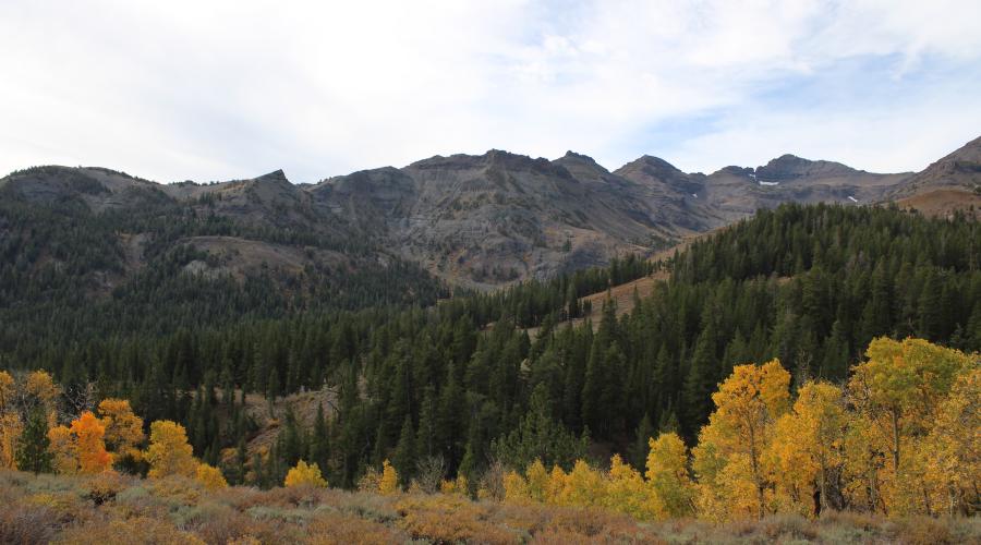 10.10.24 Sonora Pass by Amanda Carlson with Mono County Tourism