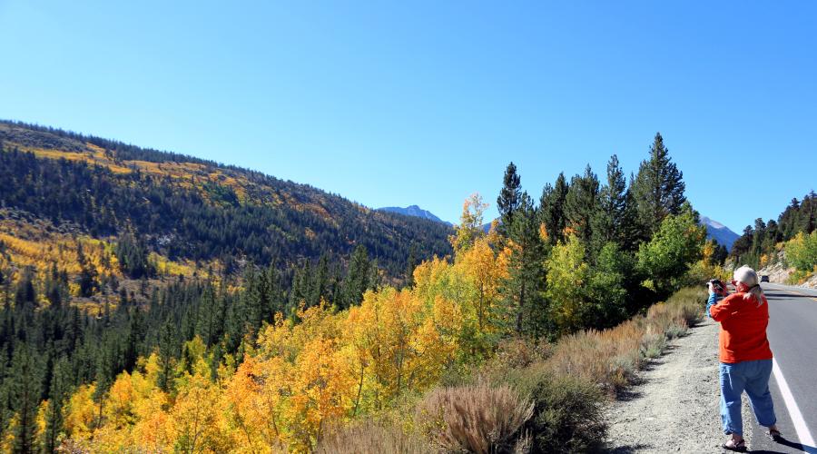 Rock Creek Road Fall Colors