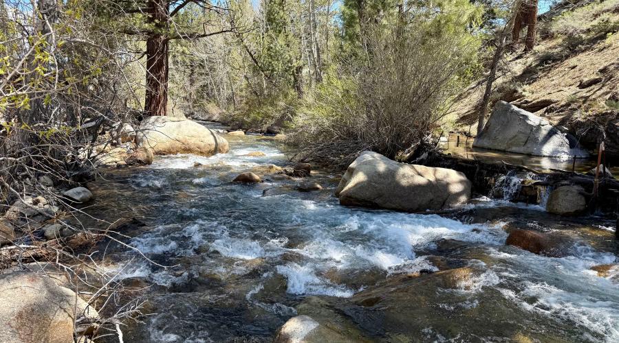4.29.26 Robinson Creek