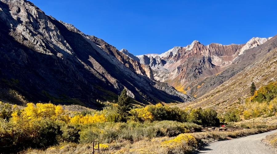 McGee Creek canyon with dirt road, mountain, and aspen trees turning yellow and orange