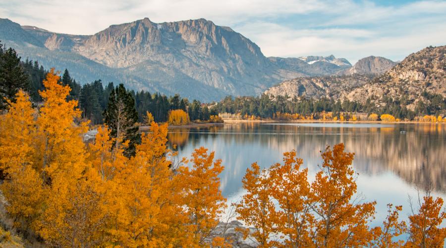 June Lake full fall color