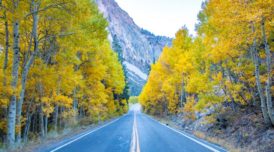 June Lake Loop Fall Color