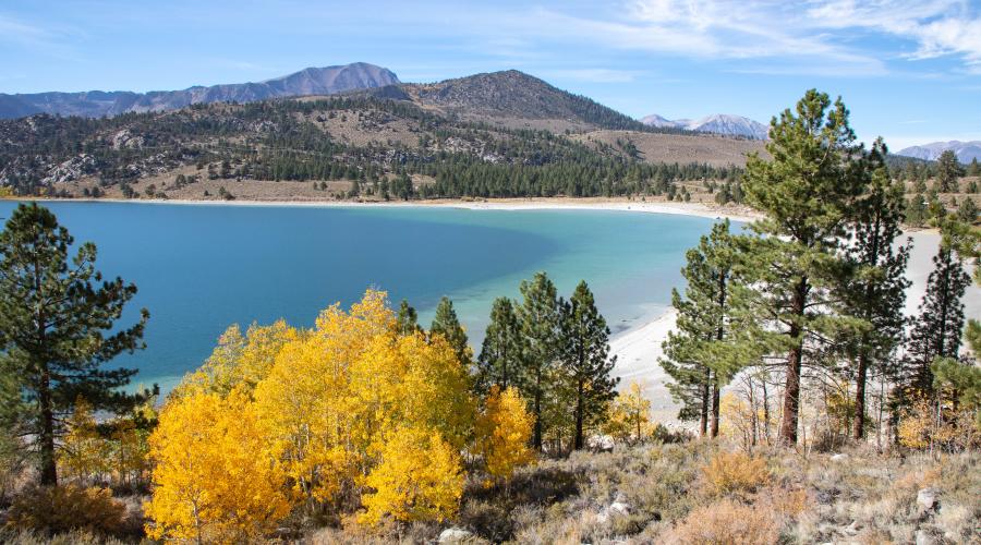 June Lake Beach