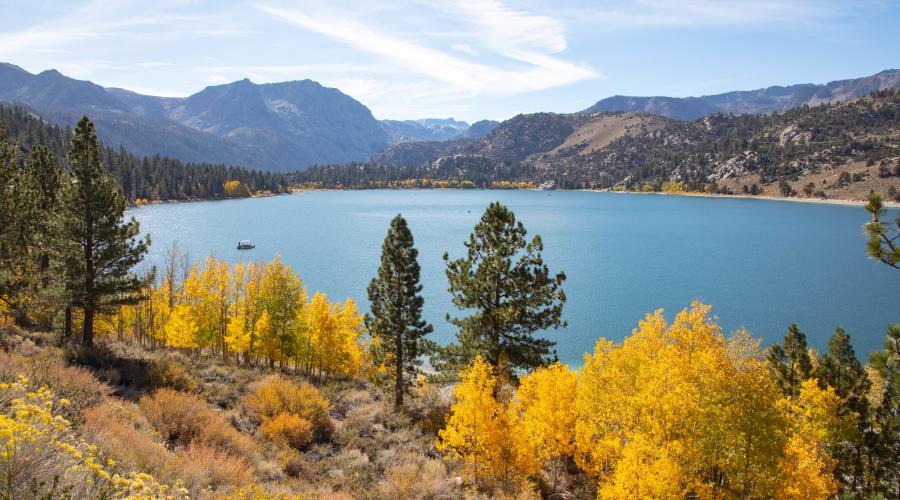 June Lake Fall Colors