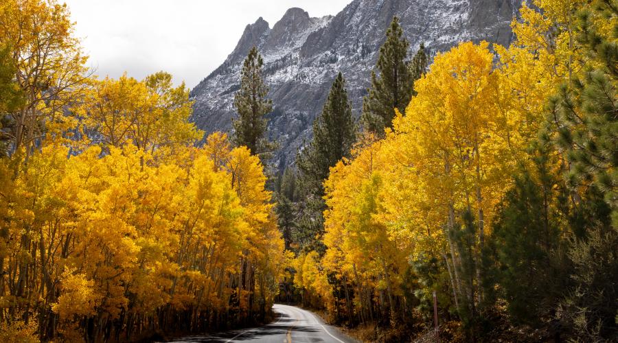 June Lake Loop road