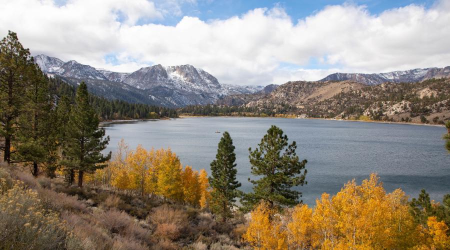 June Lake fall colors
