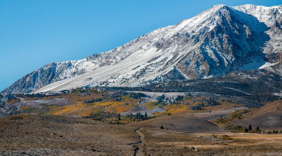 June Lake Loop Fall Colors