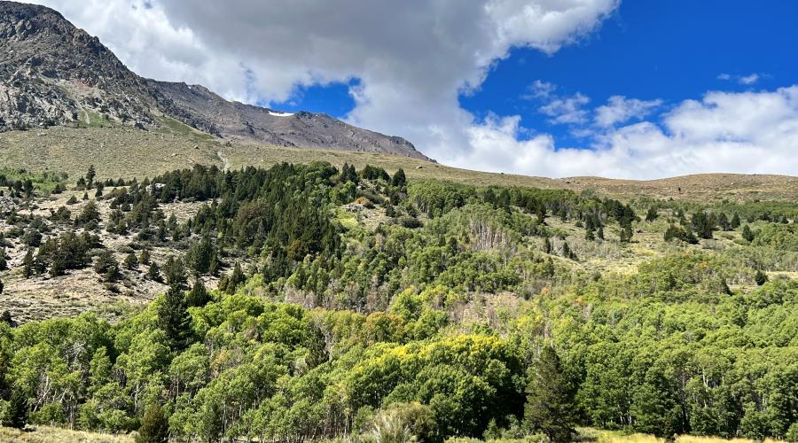 June Lake Loop