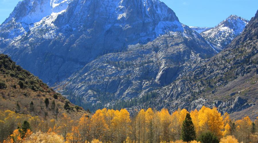 Carson Peak Fall Colors