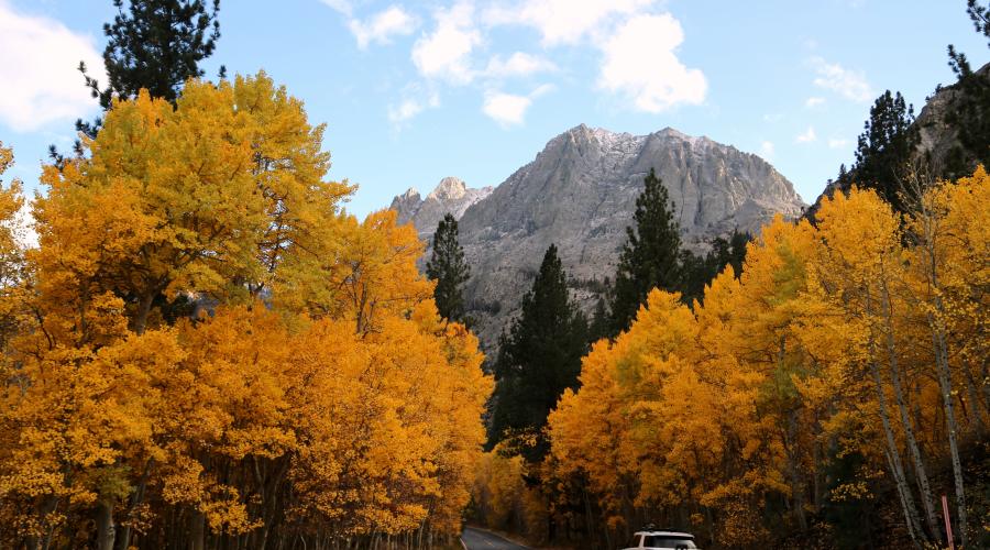 June Lake Loop