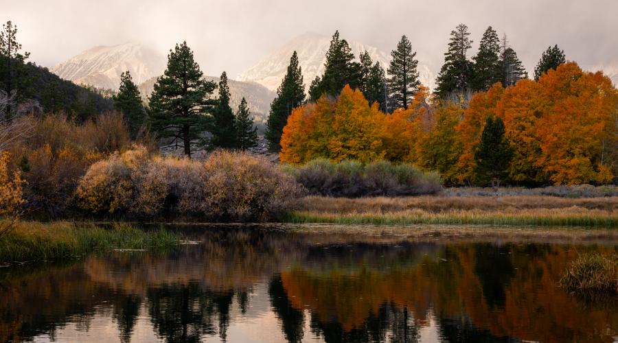 10.28.24 Lee Vining Canyon by Samantha Lindberg with Mammoth Lakes Tourism