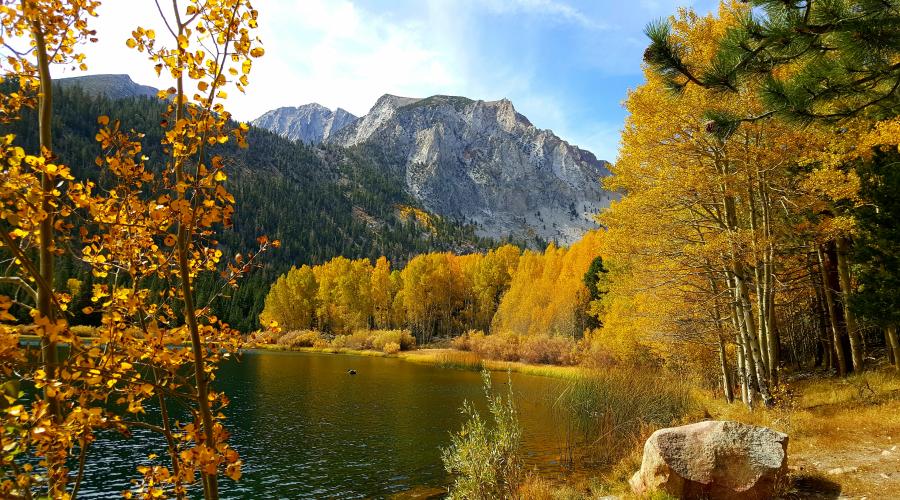 Little Walker Lake 10/10/16 Fall Colors