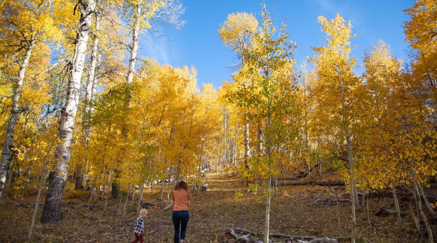 Lobdell Lake Road with Family