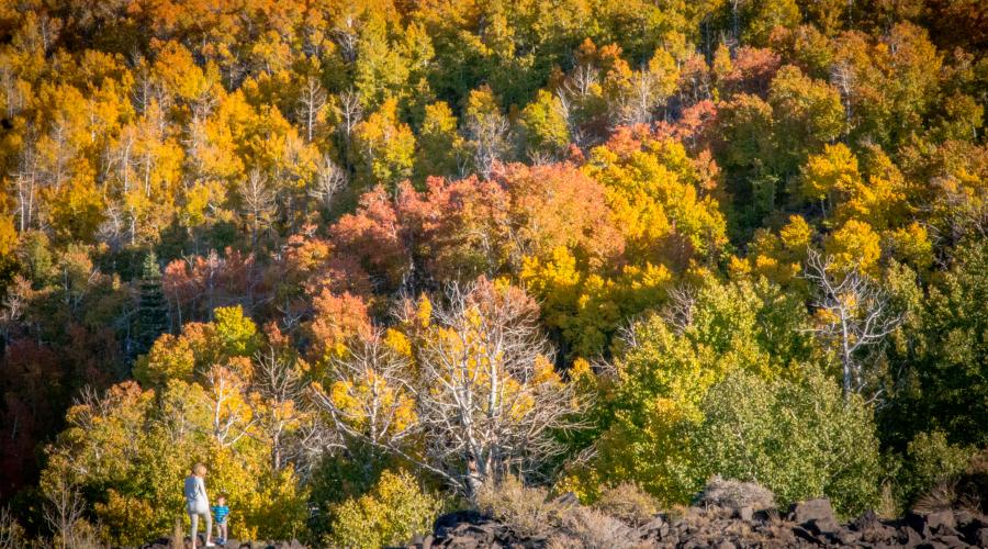 Lobdell Lake Road Fall Colors