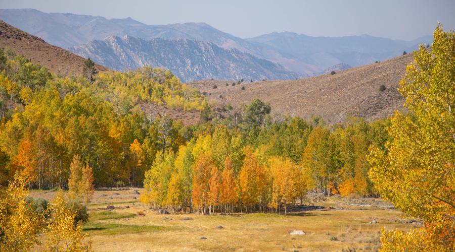 Lobdell Lake Road