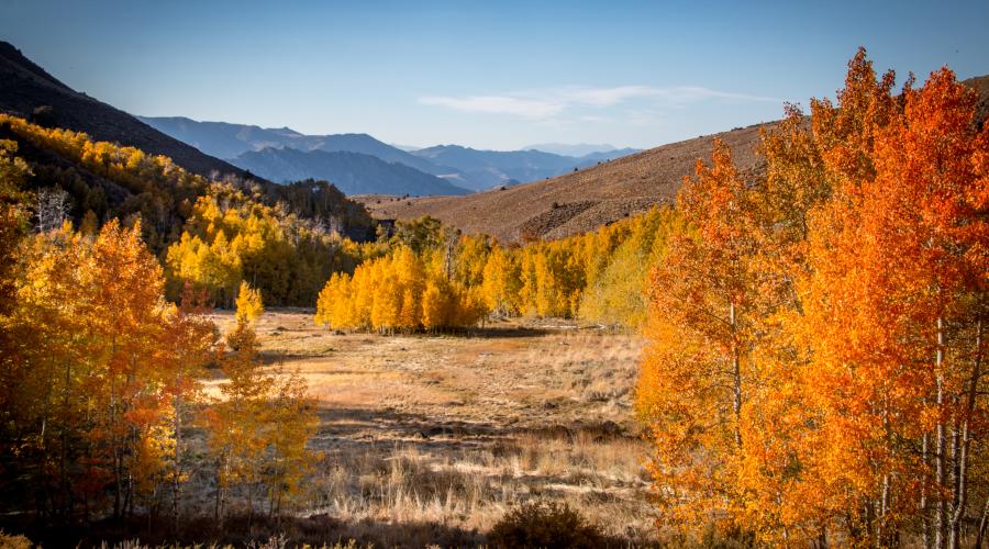 Lobdell lake road fall