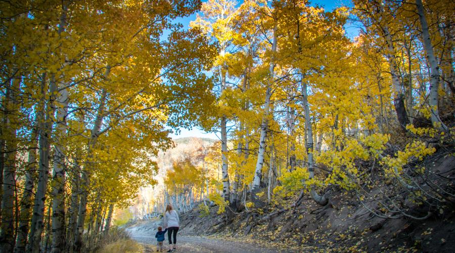 Lobdell Lake Road Fall Colors with Jess and James