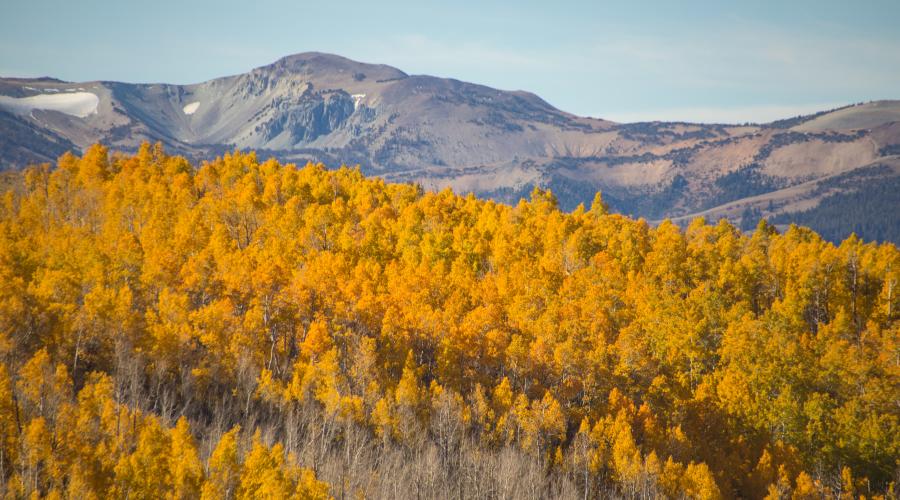 Lobdell Lake Road 10.8.19 - Photo by Jeff Simpson Mono County Tourism