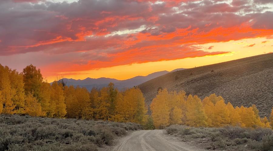 Lobdell Lake Road 10.8.22