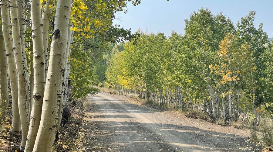 Lobdell Lake Road