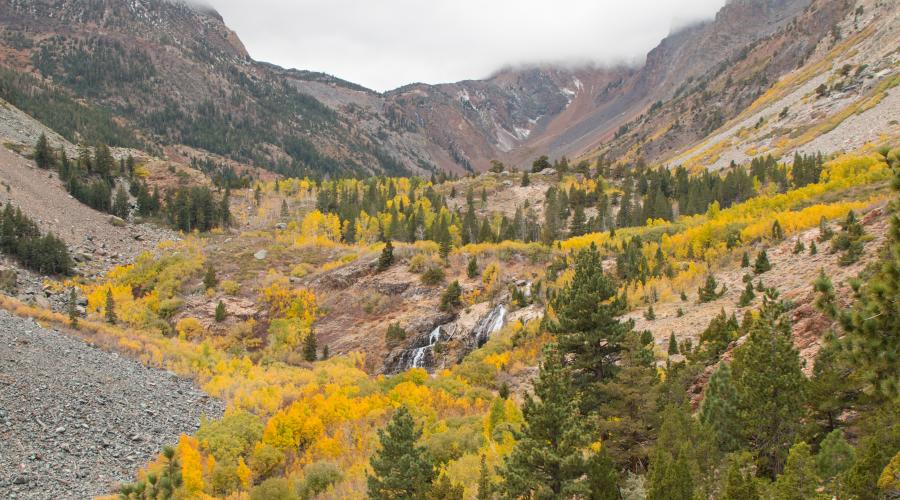 Lundy Canyon Fall Colors