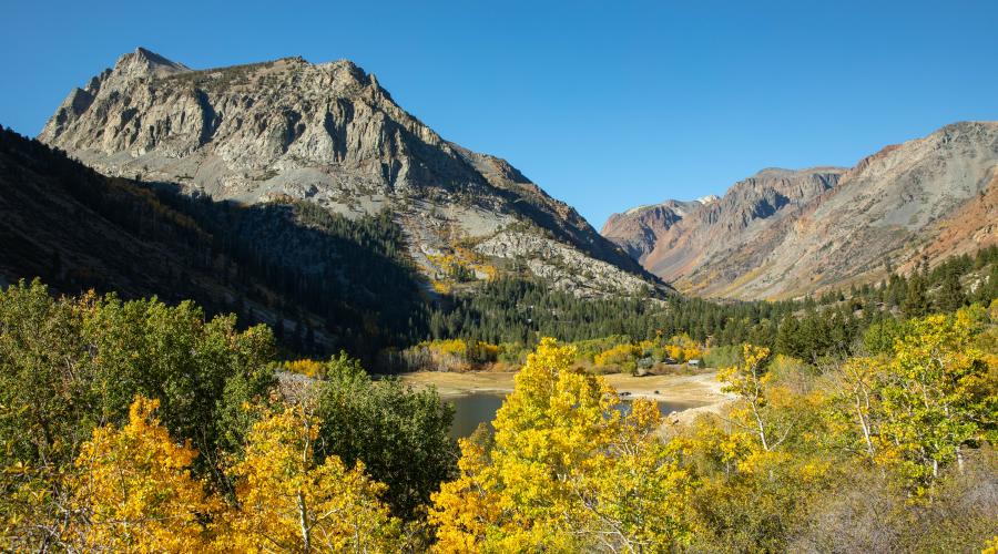 Lundy Lake Fall Colors