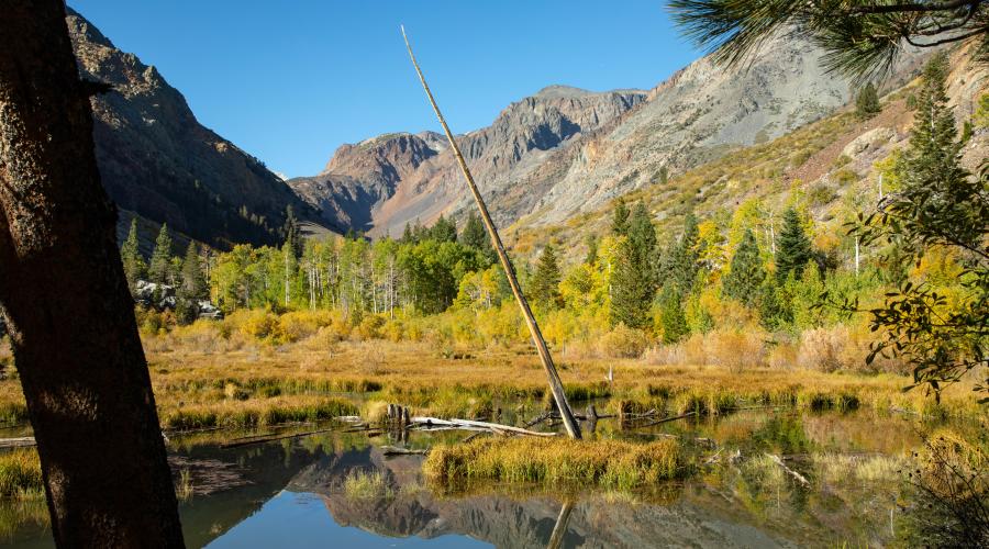 Lundy Canyon