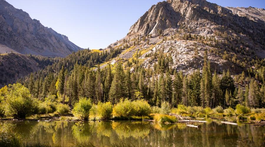 Lundy Canyon Fall Colors (9-16-24) _ Photo Credit Samantha Lindberg -- Mammoth Lakes Tourism