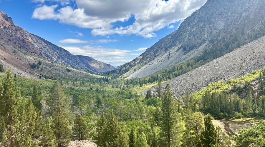 Lundy Canyon looking east - Sep 17 2024 - Mono County Tourism
