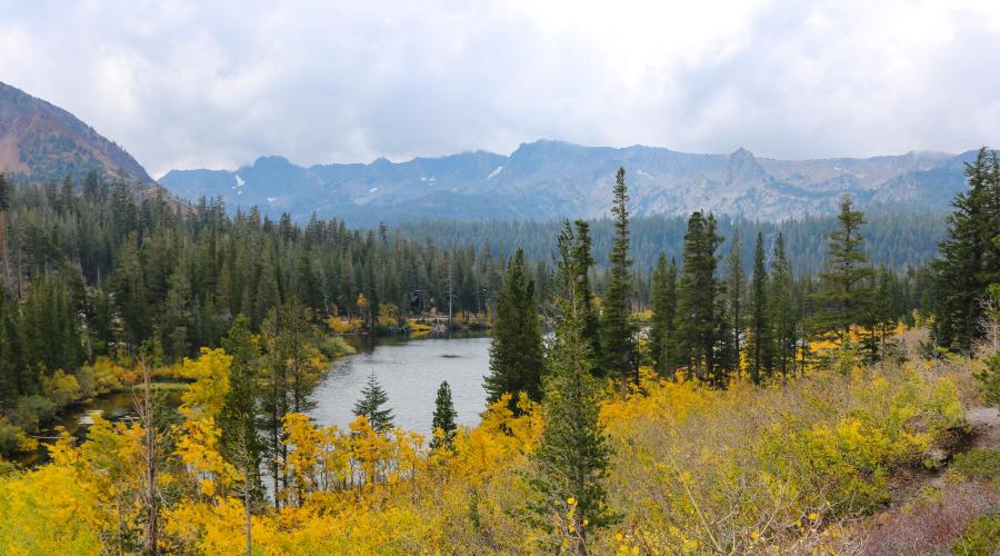 Mammoth Lakes Basin Fall Colors