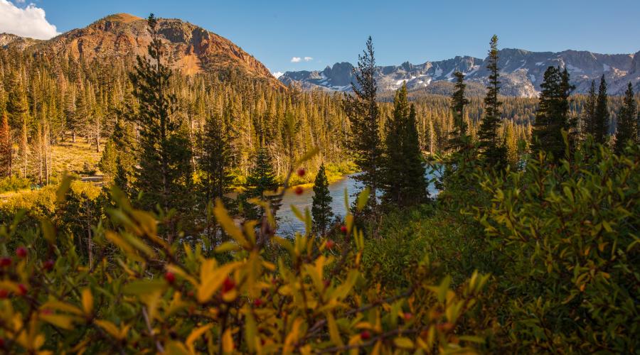 Mammoth Lakes Basin - Photo Credit Samantha Lindberg