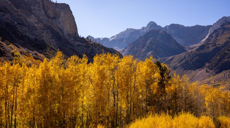 10.14.24 McGee Canyon by Samantha Lindberg with Mammoth Lakes Tourism-10