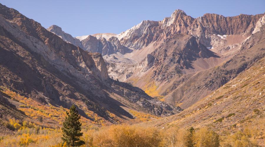 McGee Canyon Fall Colors