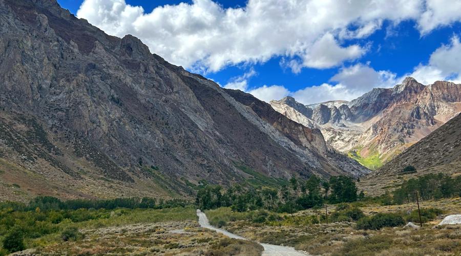 McGee Canyon for fall color report